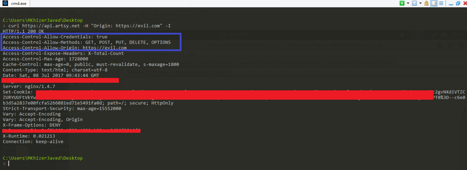 Curl to check CORS